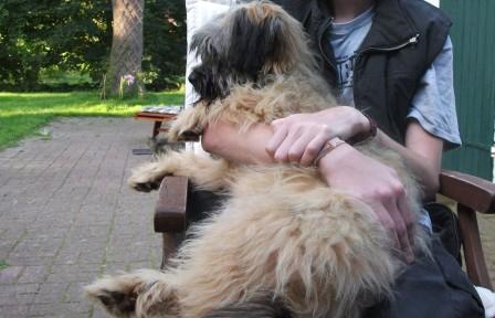 Blmchen-Info,Gos d`Atura Catal,Hund auf dem Arm